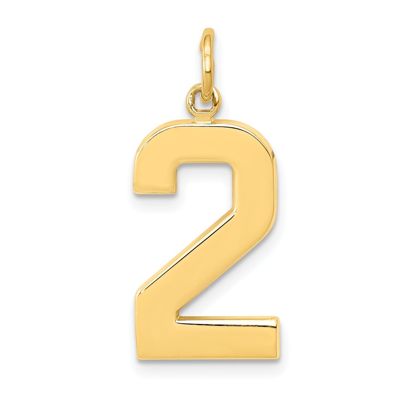 10K Yellow Gold Large Polished Number 2 Charm