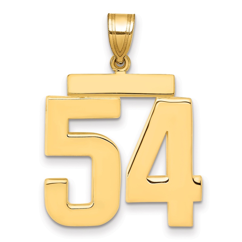10K Yellow Gold Large Polished Number 54 Charm