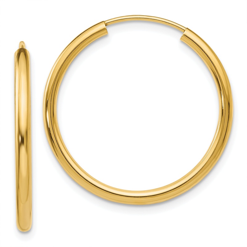 10K Yellow Gold Polished Round Endless 2mm Hoop Earrings