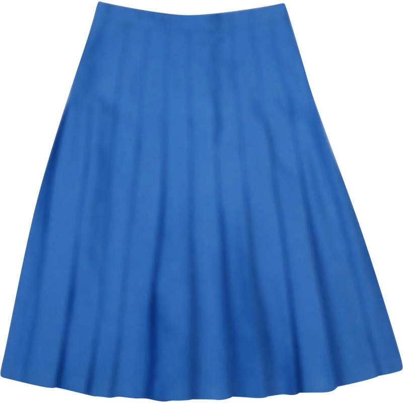 Blue Pleated Skirt