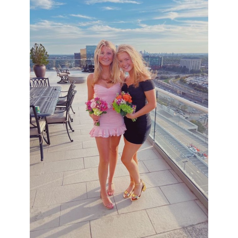 Spaghetti Straps Pink Sheath Short Prom Dress Homecoming Dress J3393